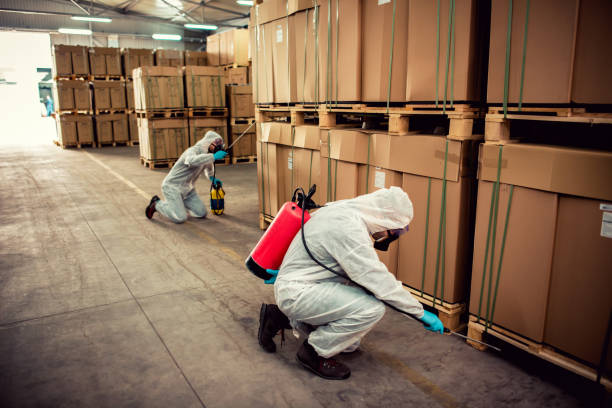 Best Flea Control Services  in Winchester, TN