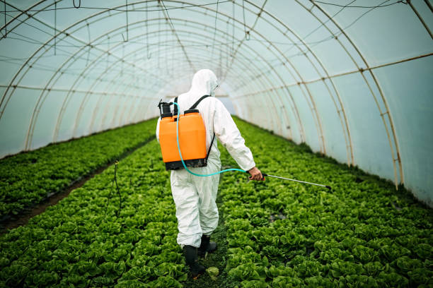 Best Affordable Pest Control Services  in Winchester, TN