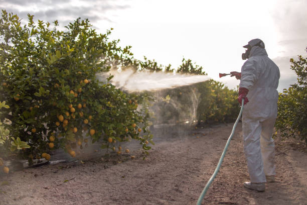 Insect Control in Winchester, TN