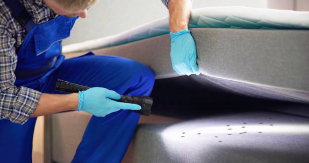 Best Best Pest Control Companies  in Winchester, TN