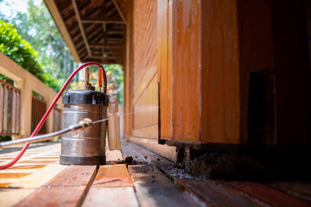 Best Affordable Pest Control Services  in Winchester, TN