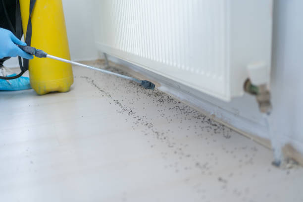  Winchester, TN Pest Control Pros