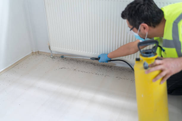 Best Pest Inspection Near Me  in Winchester, TN