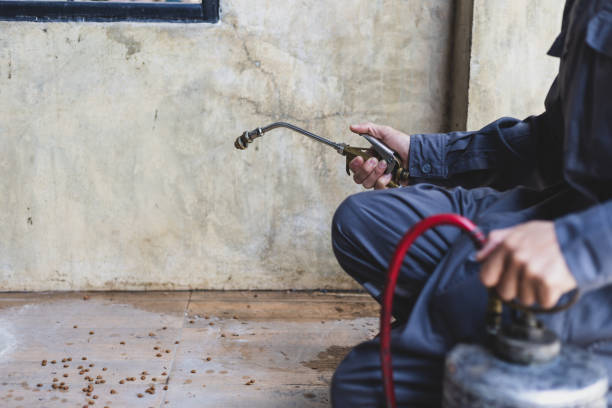 Best Flea Control Services  in Winchester, TN