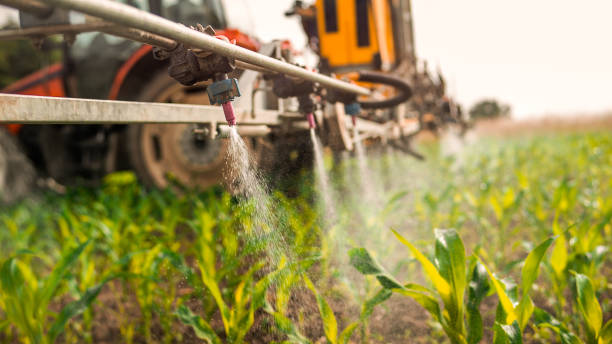 Best Commercial Pest Control Services  in Winchester, TN